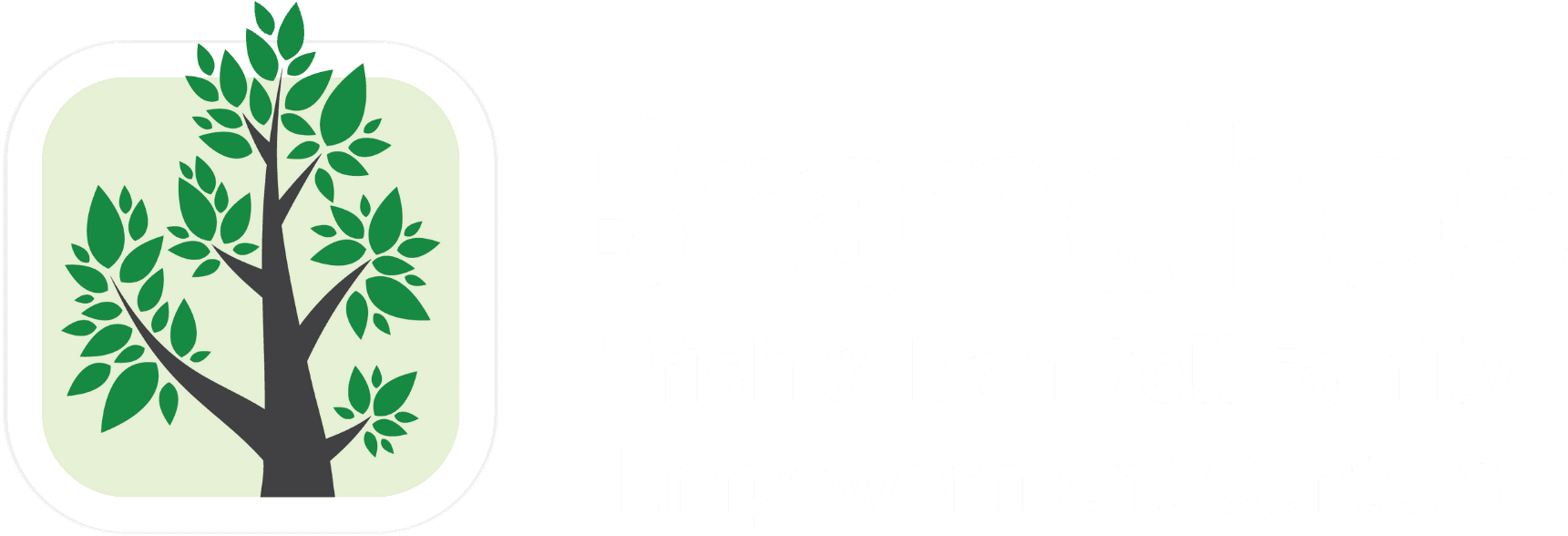 Branches Family Empowerment Centers